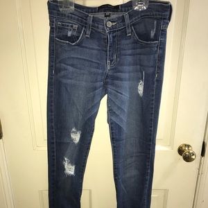 Flying Monkey Ripped Skinny Jeans